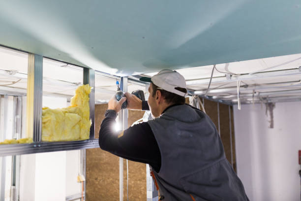 Best Cellulose Insulation in Greenup, KY