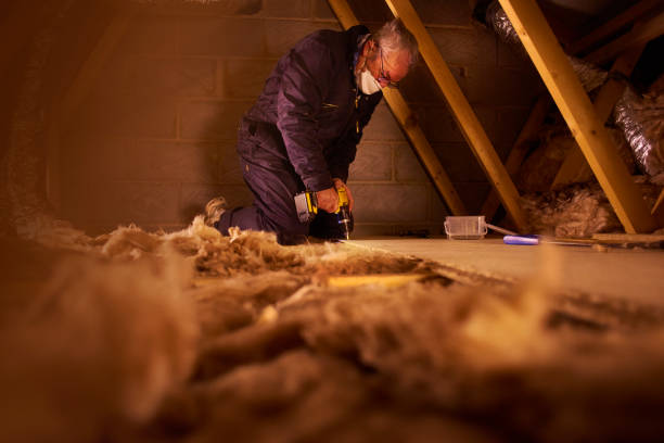 Best Geographic-Specific Insulation Services in Greenup, KY